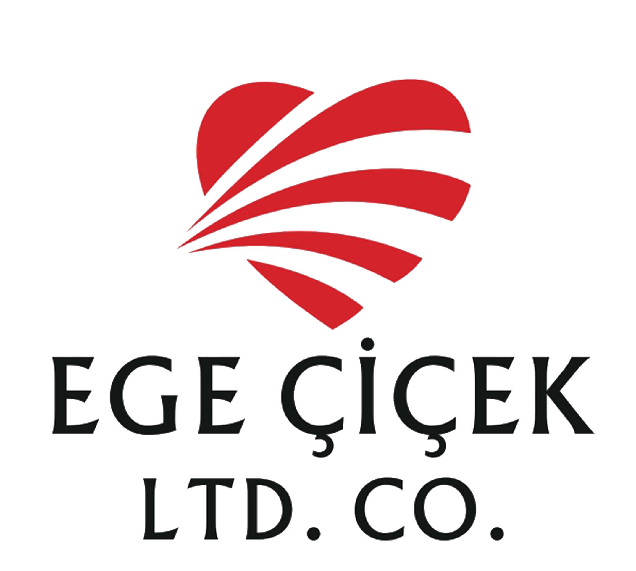 Ege İ&ccedil; ve Dış Ticaret